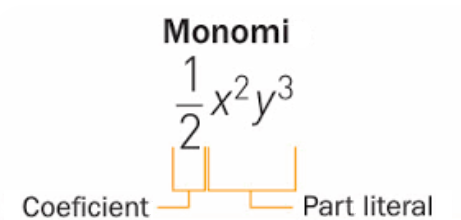 Monomi